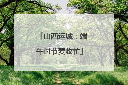 山西运城：端午时节麦收忙